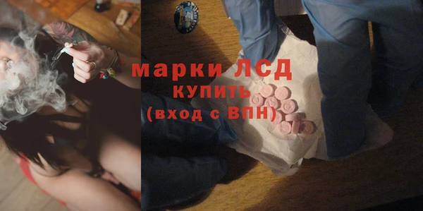 прущие грибы Новокубанск