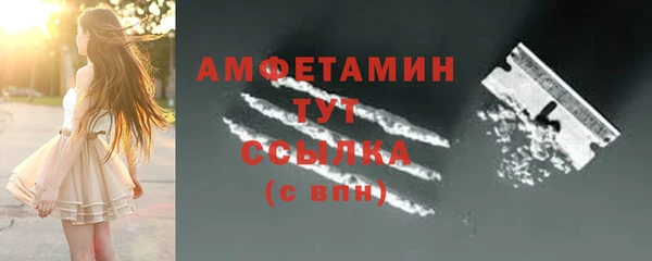 прущие грибы Новокубанск