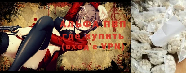 прущие грибы Новокубанск