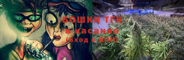 стаф Новодвинск