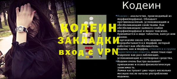 стаф Новодвинск