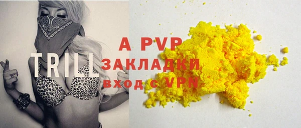 стаф Новодвинск