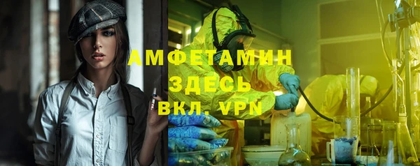 стаф Новодвинск