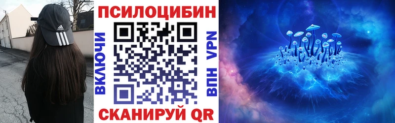 как найти наркотики  Нерчинск  Псилоцибиновые грибы GOLDEN TEACHER 